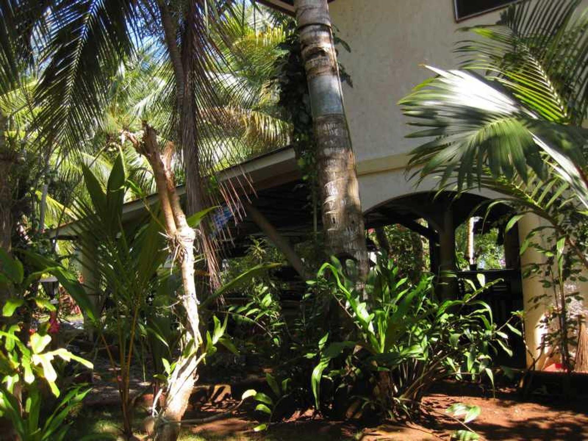 Calypso Resort Panglao Exteriér fotografie