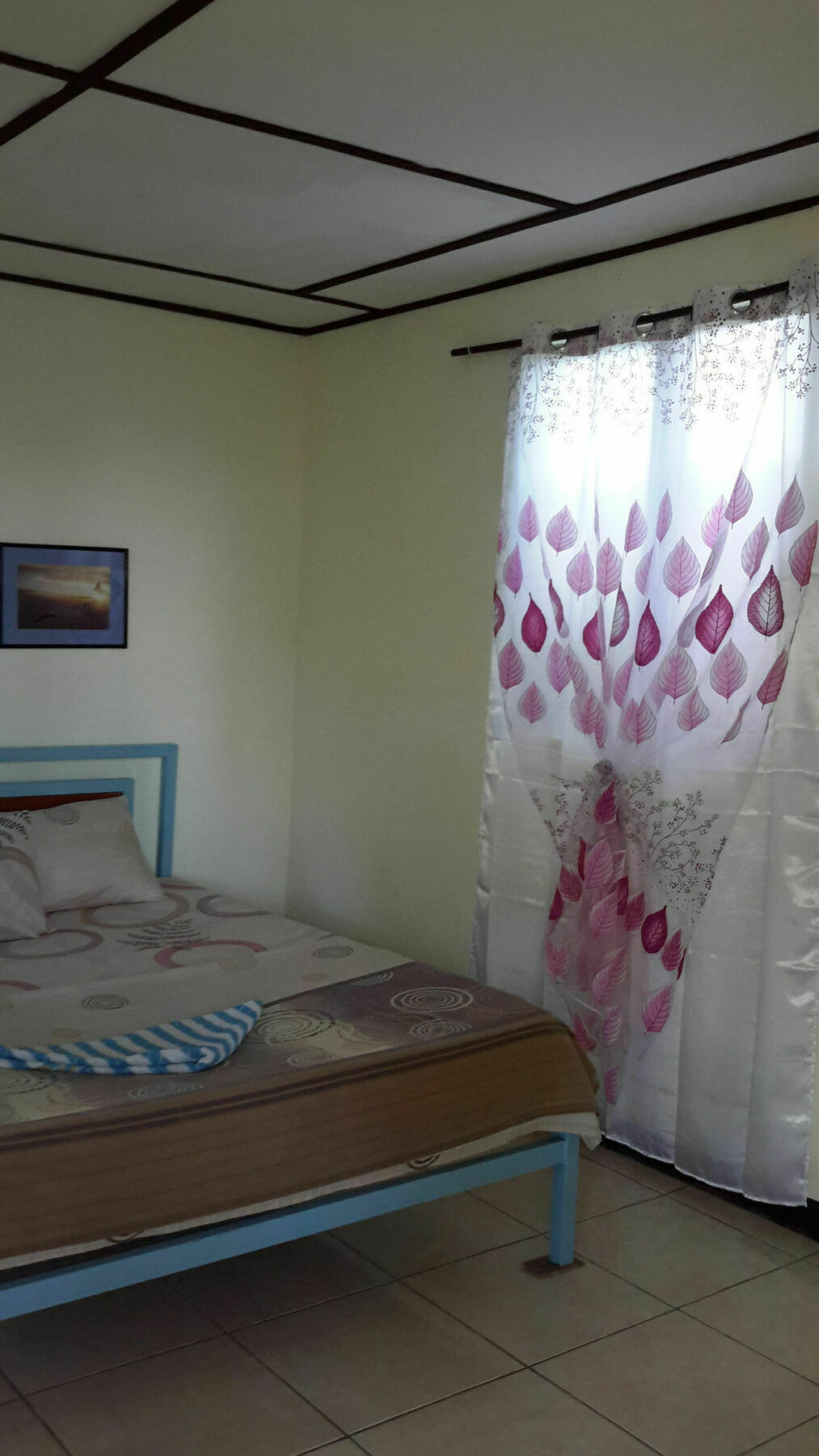 Calypso Resort Panglao Exteriér fotografie