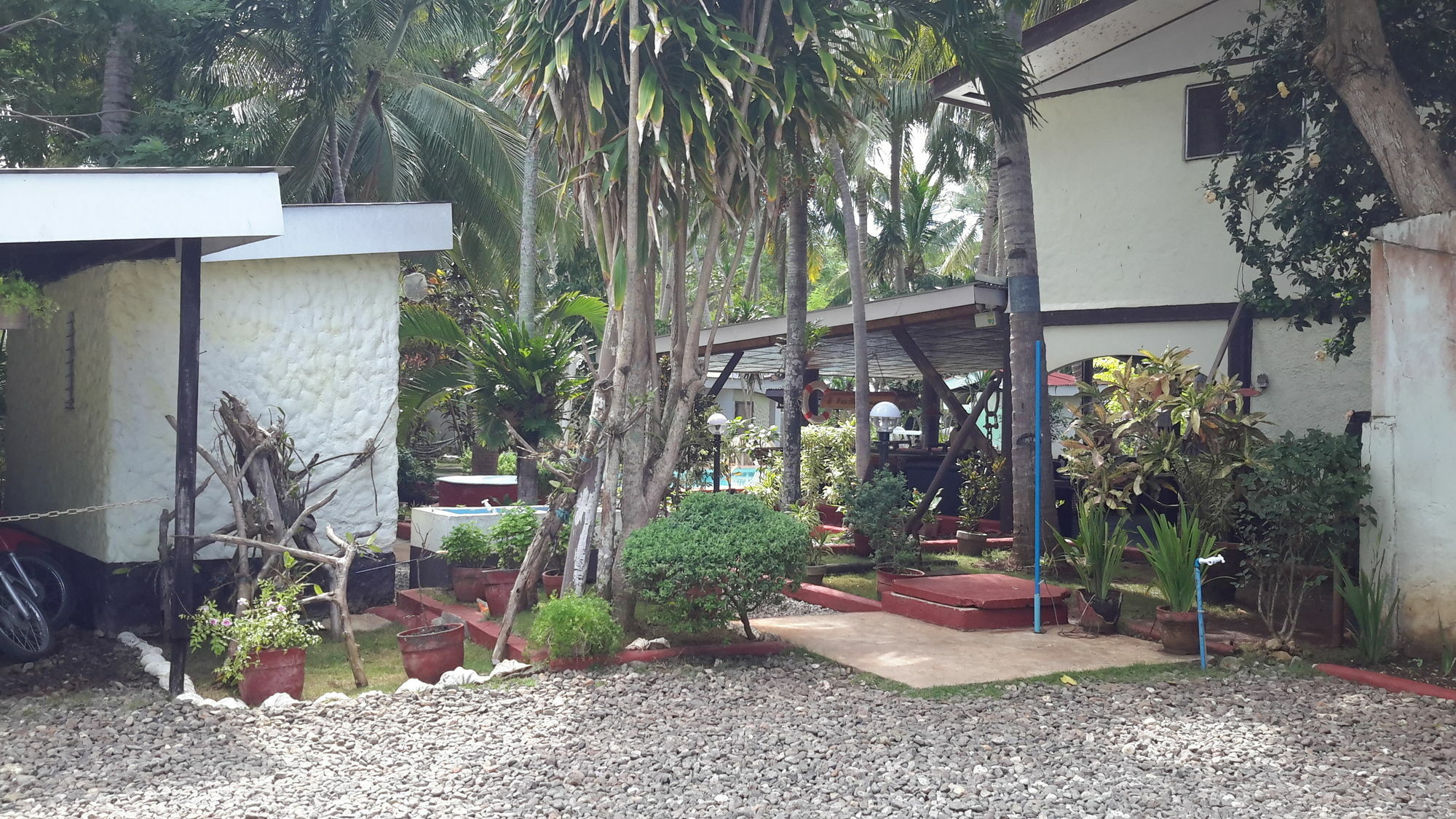 Calypso Resort Panglao Exteriér fotografie